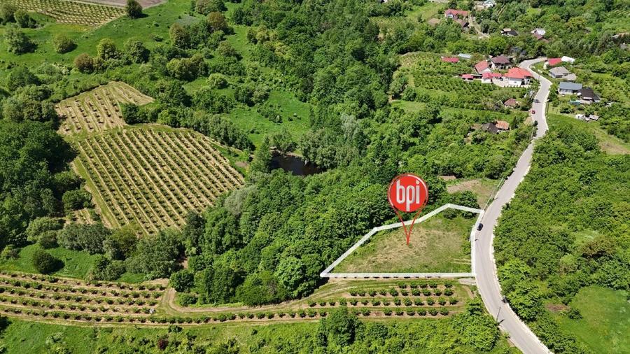 SE VINDE teren INTRAVILAN de 1313mp  + 18.687mp EXTRAVILAN, in RADASENI, SV - 4
