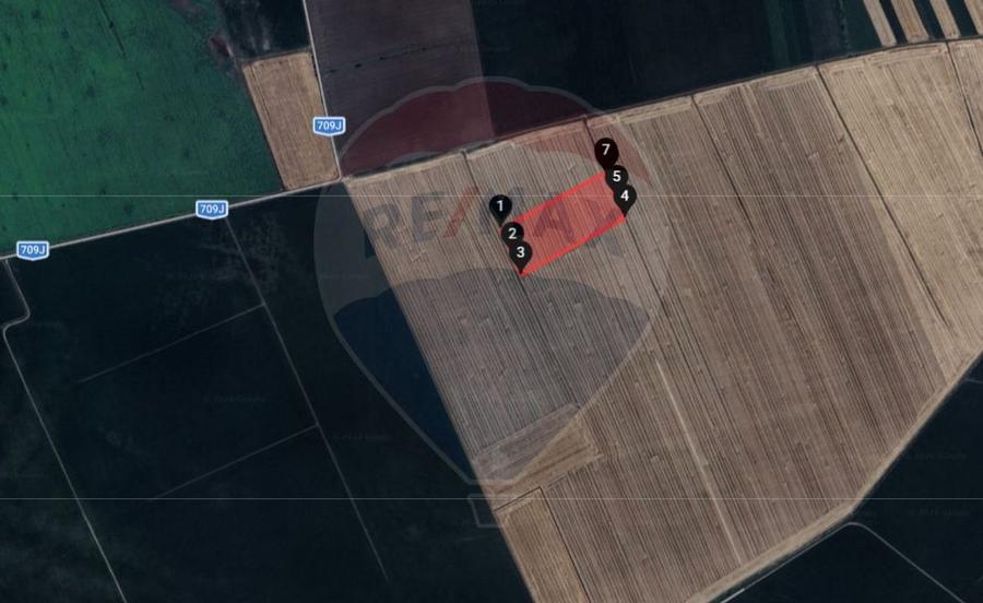 Teren extravilan 46,300mp Curtici - 3