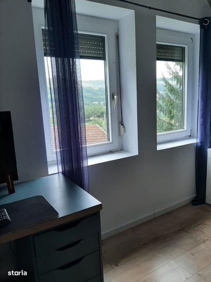 2 case pe curte / posibila investitie - 9