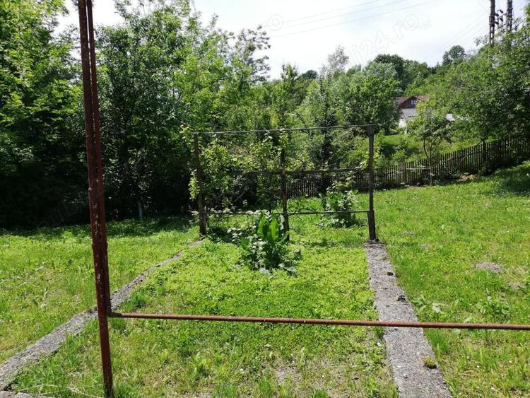 casa si teren la Provita de Jos - 1
