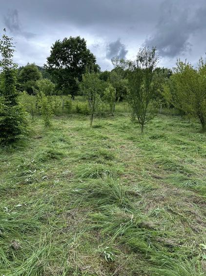 vand teren Baia Sprie, zona centrala, Microraio Vest - 2