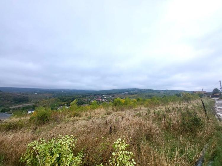 Teren de vanzare Barnova, cu priveliste Vanzare imediata - 6
