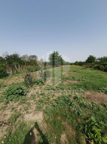 Samurcasi, str. Guliei, casa parter cu teren - 2431 mp - 6