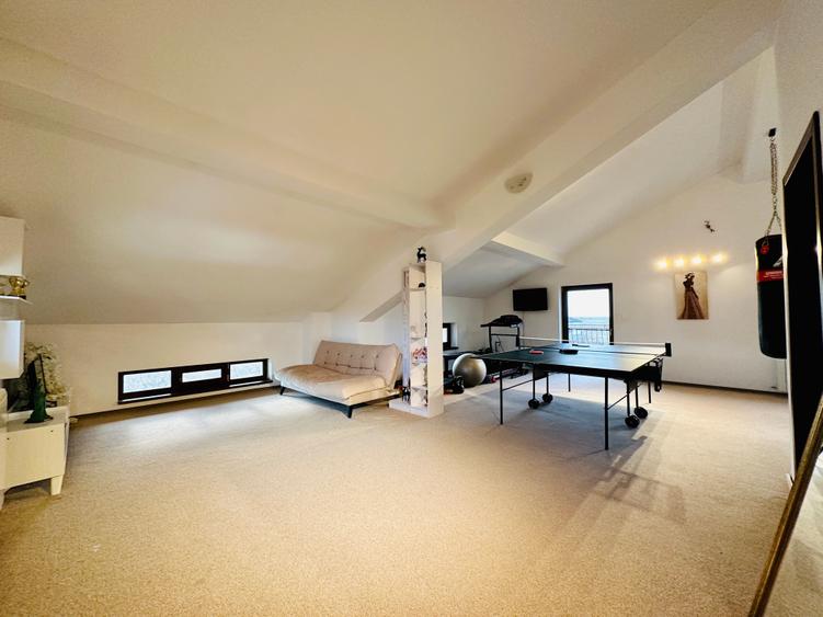 Vilă | 7 Camere |  Ds+P+1E+M | Teren 1346mp | Ieșire la Lac | Comuna Berceni - 35