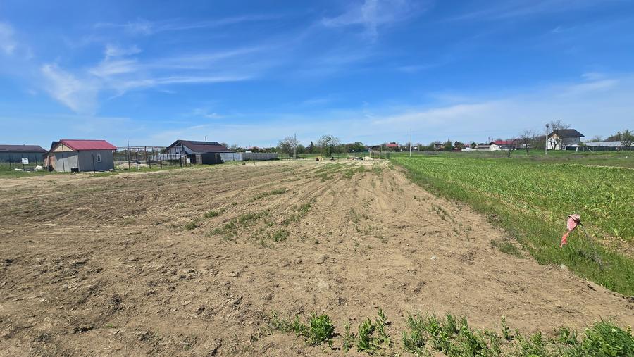 Teren 500 mp Dărăști Ilfov | Lângă pădure și râul Argeș | Deschidere 27 ml - 6