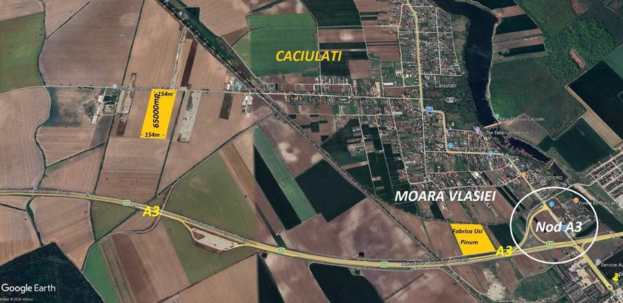 Vânzare teren intravilan 65.000 mp – Caciulati - 1