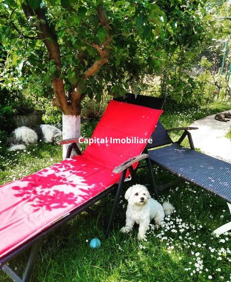 House for sale, 5 Rooms, 180 sqm, Valea Dejani - 11