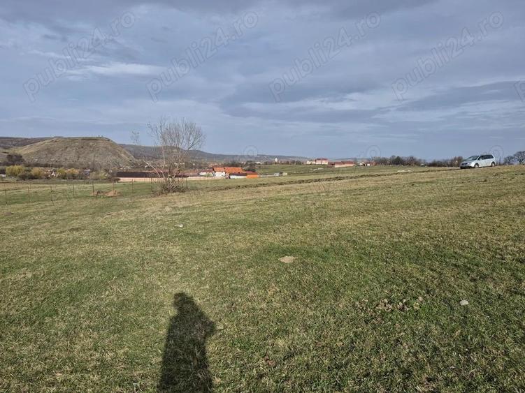 vand teren in Orlat, judetul Sibiu 1500mp extravilan - 3