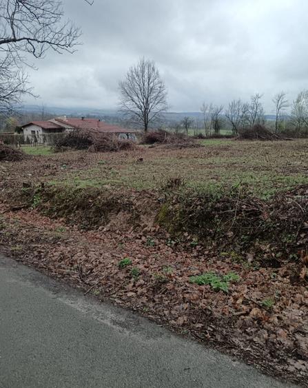 Unguras, 20 ari teren - 3