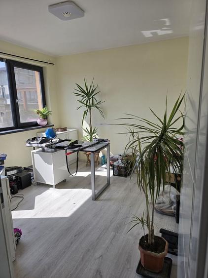 COMISION 0%, Casa Individuala, 6 Camere, 156 Mp, 550 Mp Teren, SACALAZ - 8