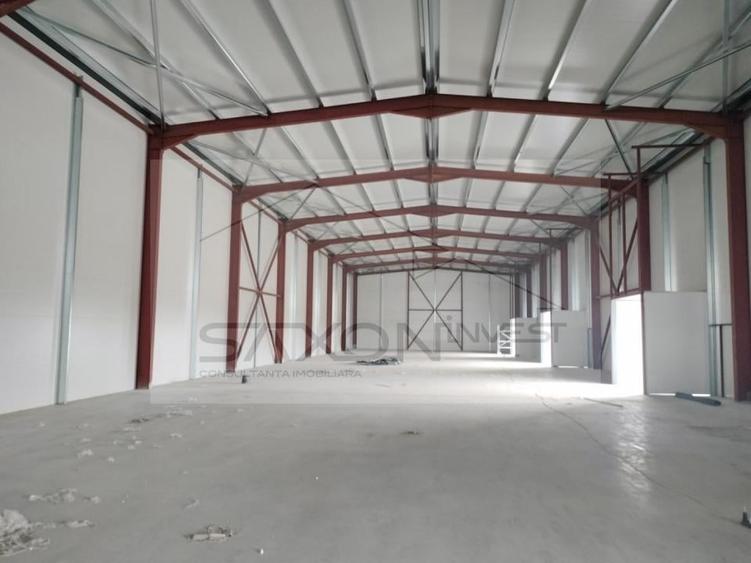 Drumul între Tarlale - Oxigenului. - Suprafața totală de 1126 mp - 4