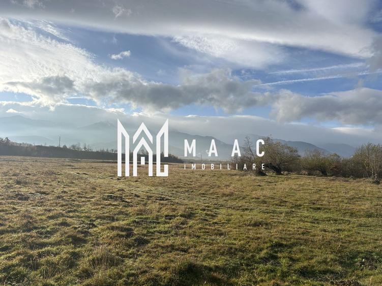 Teren cu potențial turistic I Cârțișoara I 3000 MP - 4