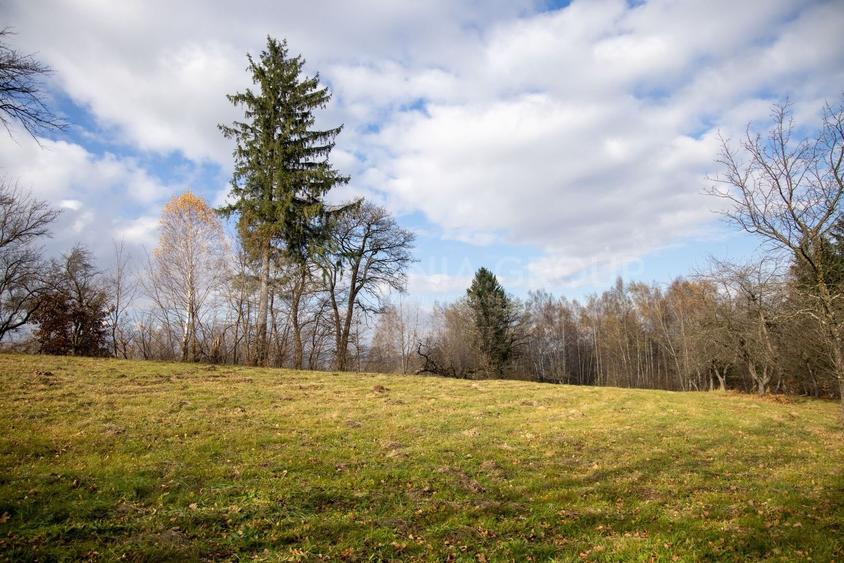 Teren intravilan, cu PUZ, Bran Tohanita,  SE ACCEPTĂ ȘI SCHIMB - 22