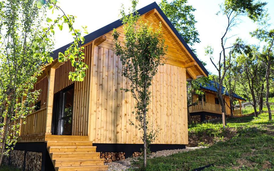 Cabana de vis in Nucsoara - Arges - 69.000 Euro! - 15