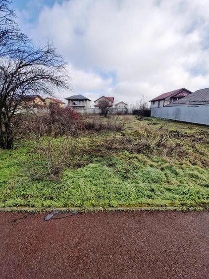 Buftea-Independentei - 2