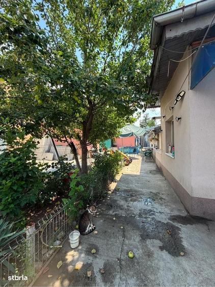 Casă cu 3 camere în Chitila