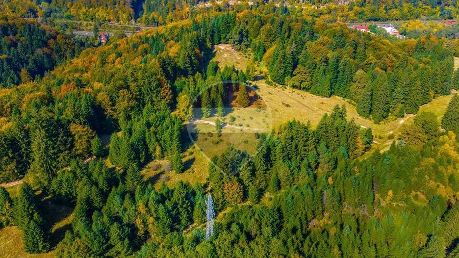 Teren Construcții intravilan de 2400 mp, în Timișu de Jos