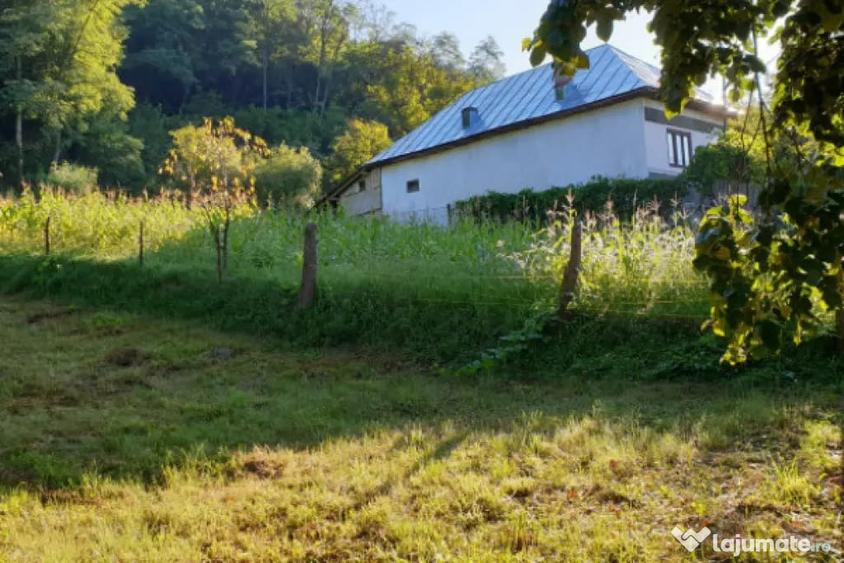 Teren de 7000 mp, în Ștubeie Tisa