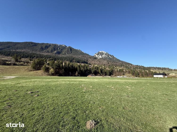Teren de 1269 mp, în Plaiul Foii