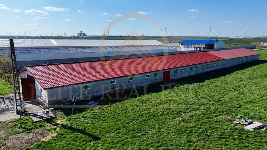 Tariverde - Ferma zootehnica functionala, 3 hectare teren intravilan! - 11