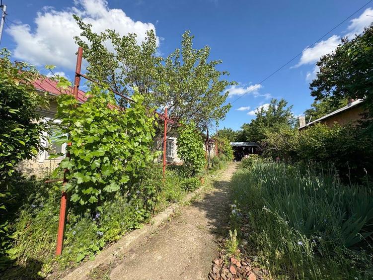 Casa de vanzare Alexandria - 3