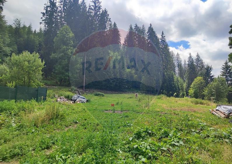 Teren in Bucovina, intravilan 3824 mp Deia-Frumosu, Suceava - 5