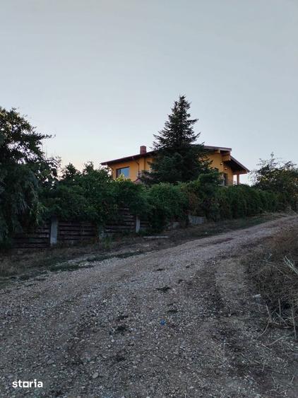 Teren perfect pentru case Ciolpani | 5.000 mp | utilitati in apropiere - 16