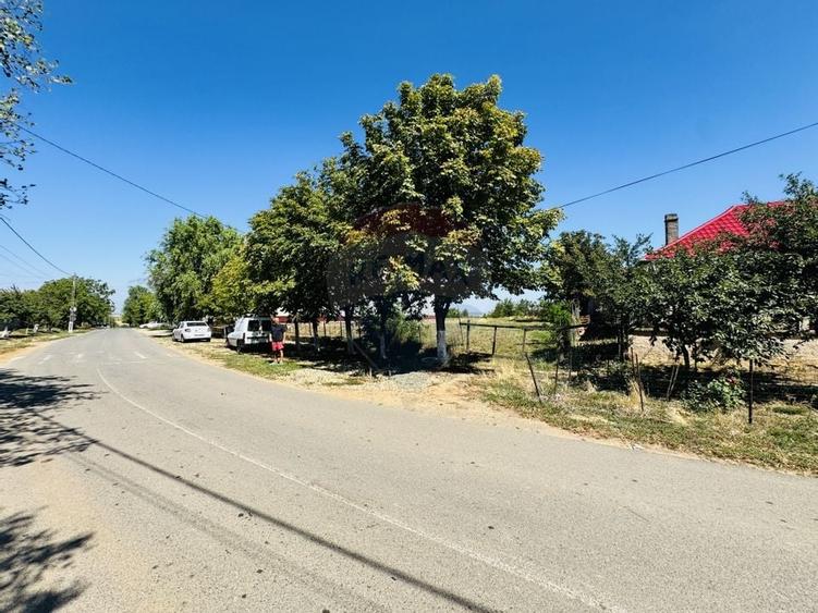 Teren 2,841mp Apateu / Strada Principala langa Biserica Ortodoxa - 1