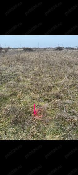 Teren Mo?ni?a Noua -Urseni de vanzare - 5