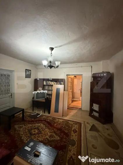 Proprietate completa in Sacuieni- Doua Case + Anexe - 10