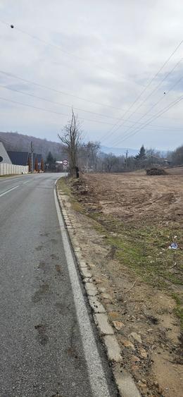 Vand teren clisura dunari - 4