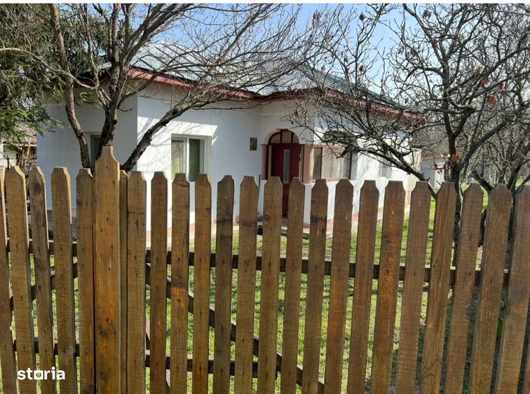 Casa Bolintin Vale Crivina - 10