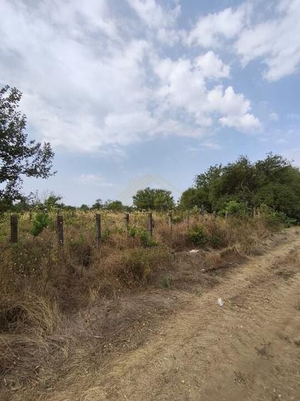 TEREN INTRAVILAN 2500 MP-SCOLII-VIILOR - 2