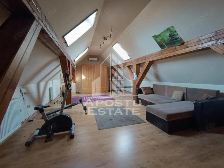 Vila spatioasa in Elisabetin - 10