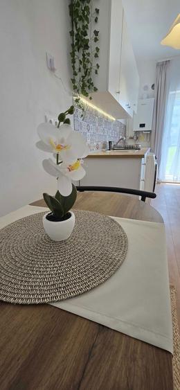 Prima inchiriere | Garsoniera noua 2024 | Gradina + Parcare | 38mp | Turnisor, Sibiu - 1