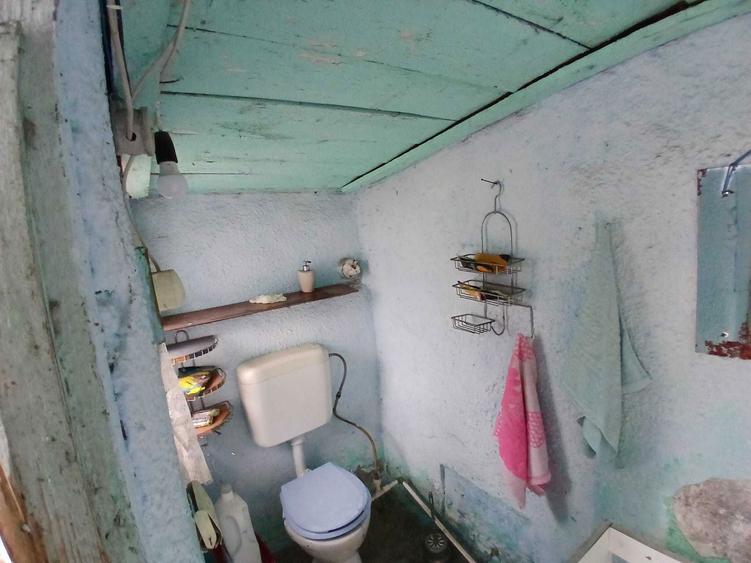 Casa batraneasca - muncitori - 7