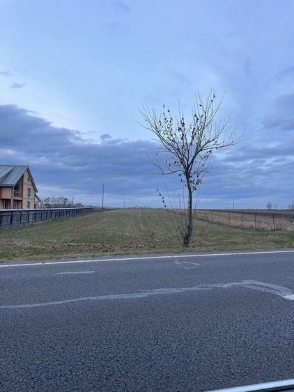 Vand teren extravilan - intravilan 4500 mp2 - 7