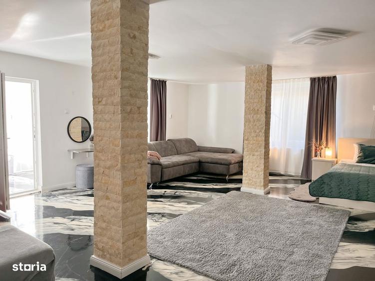 Casa de vacan?a Some?ul Rece Preluare afacere Zona de munte - 2