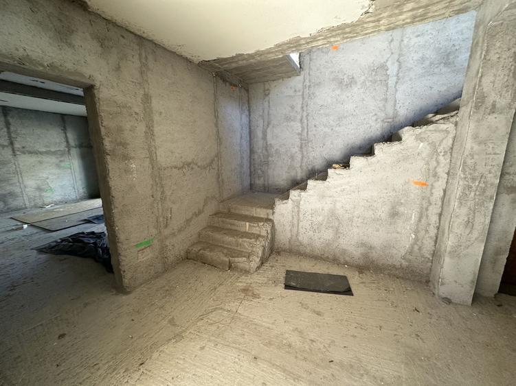 Proiect deosebit zona Medicina / Isho - 31