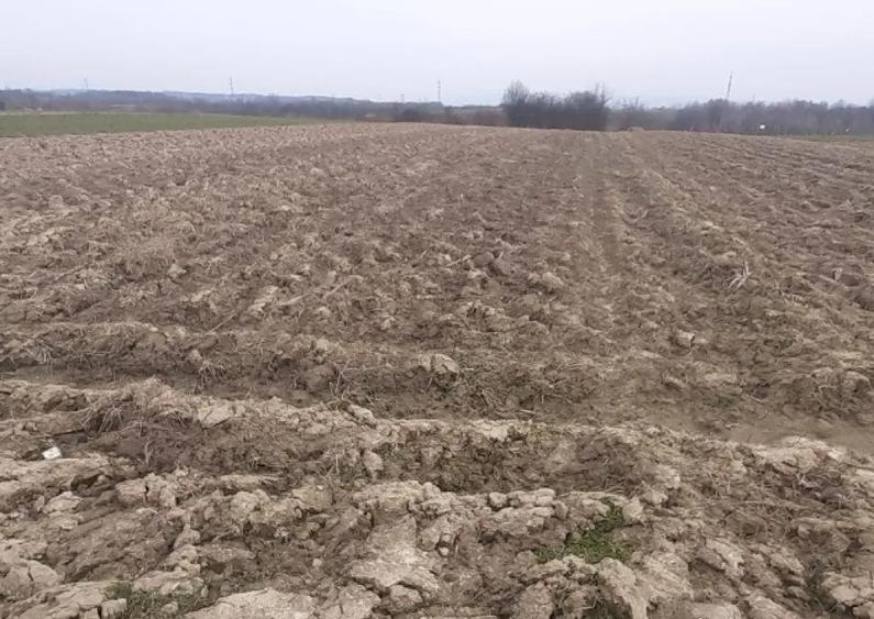 Mocira, 29 ari teren - 1