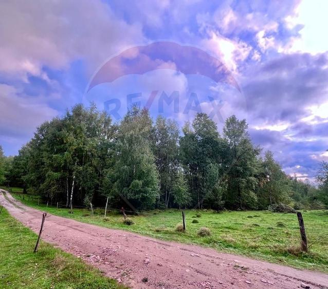 Teren 7,350mp Bulz / Drumul Secundar - 2