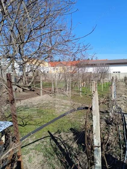 Casa individuala la curte comuna si gradina - 1