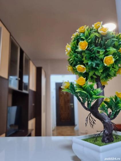 Inchiriez Garsoniera in Deva - 3