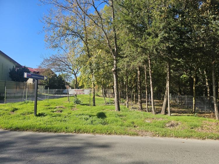 Mangalia, str Ferdinand nr 32, Jupiter - 3