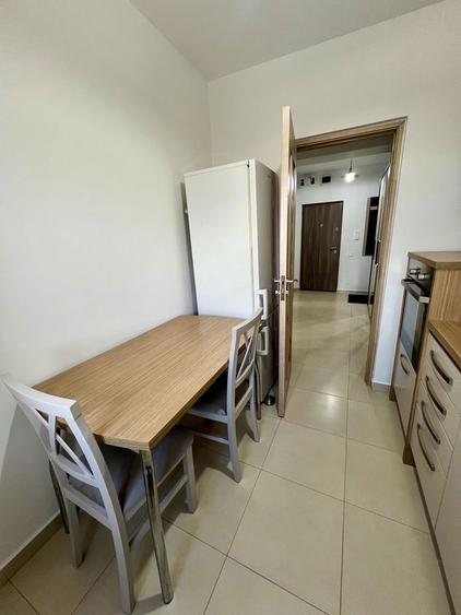 Inchiriez garsoniera bloc nou-cartier Eremia - 6