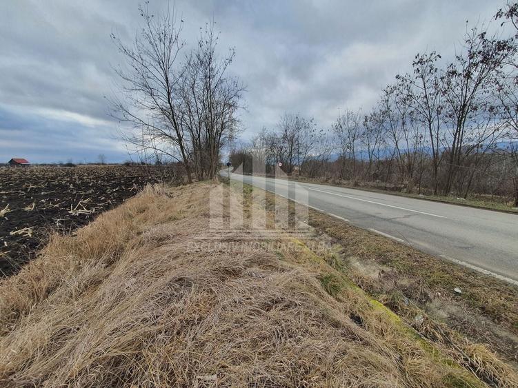 Teren extravilan | De vanzare | 1300 mp | 25 ml deschidere | Ciugud - 5