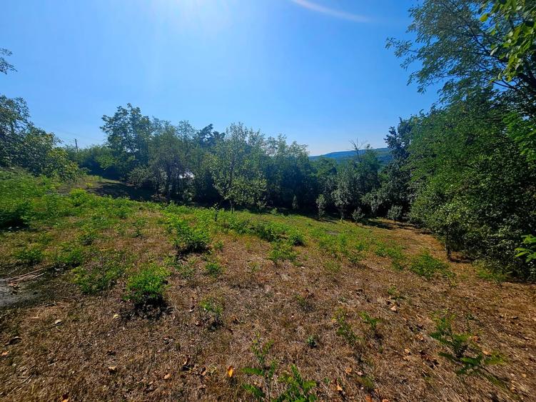 Teren intravilan 2322 mp, Păcuri – vedere superbă spre pădure! - 6