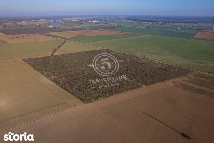 Ocazie- Teren Intravilan de Vanzare- Peris Snagov- Doar 10 euro/mp - 6