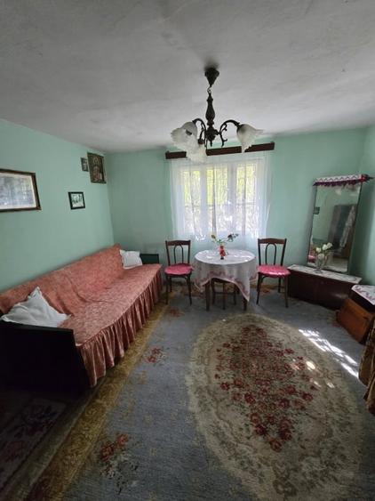 Casa batraneasca cu 1000 mp teren Letea - 5