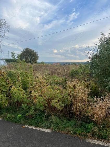 Vand parcele de teren Paun Barnova - 3